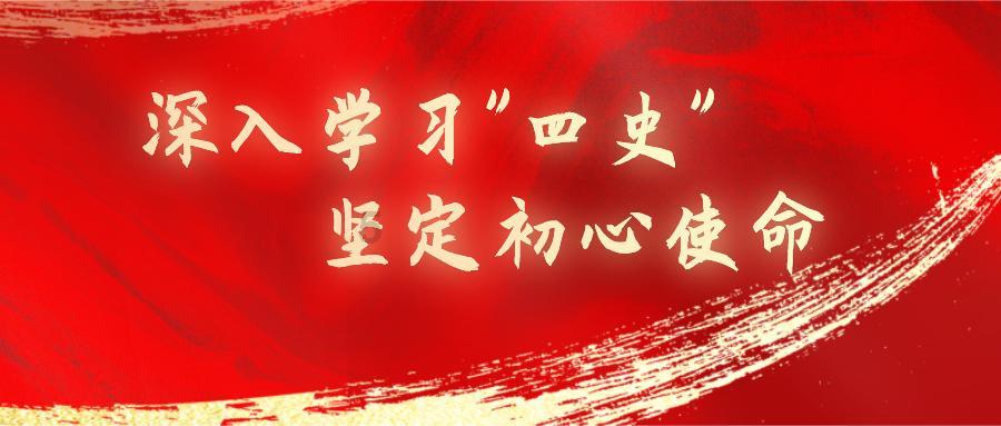 解救金刚鹦鹉