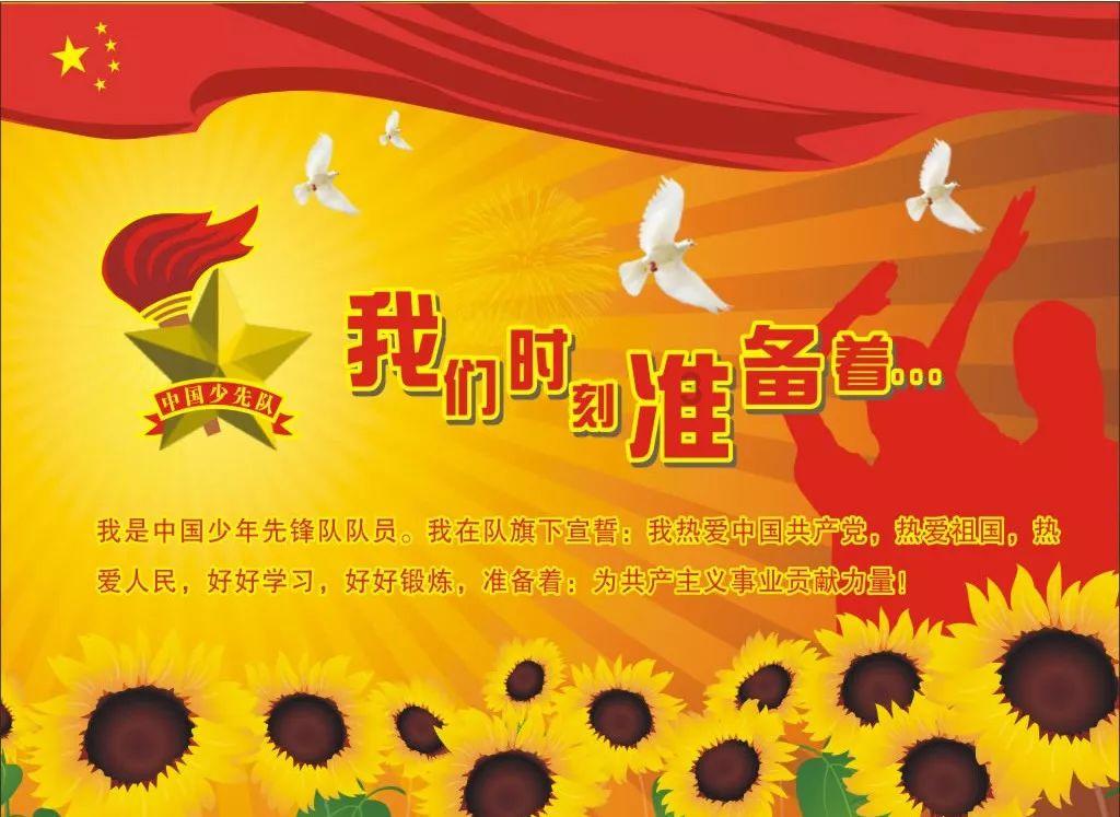 胖小猫救援