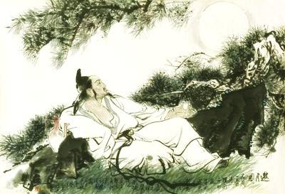 让动物飞一会